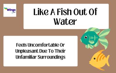 A fish out of water Idiom Definition .